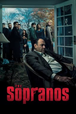 Find out your look alike doppelganger in The Sopranos - poster