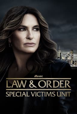 Find out your look alike doppelganger in Law & Order: Special Victims Unit - poster