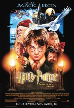 Find out which Harry Potter and the Sorcerer's Stone character are you - poster