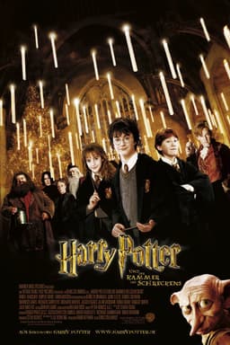 Finde heraus, welcher Harry Potter und die Kammer des Schreckens-Charakter du bist - Poster