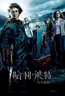 找出你在Harry Potter and the Goblet of Fire中的角色 - 海报