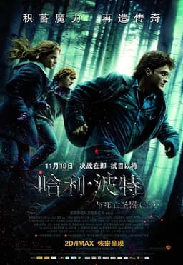 找出你在Harry Potter and the Deathly Hallows - Part 1中的角色 - 海报