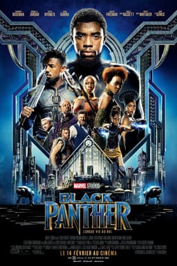 Découvrez quel personnage de Black Panther vous êtes - affiche