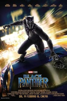 Scopri a quale personaggio di Black Panther assomigli - poster