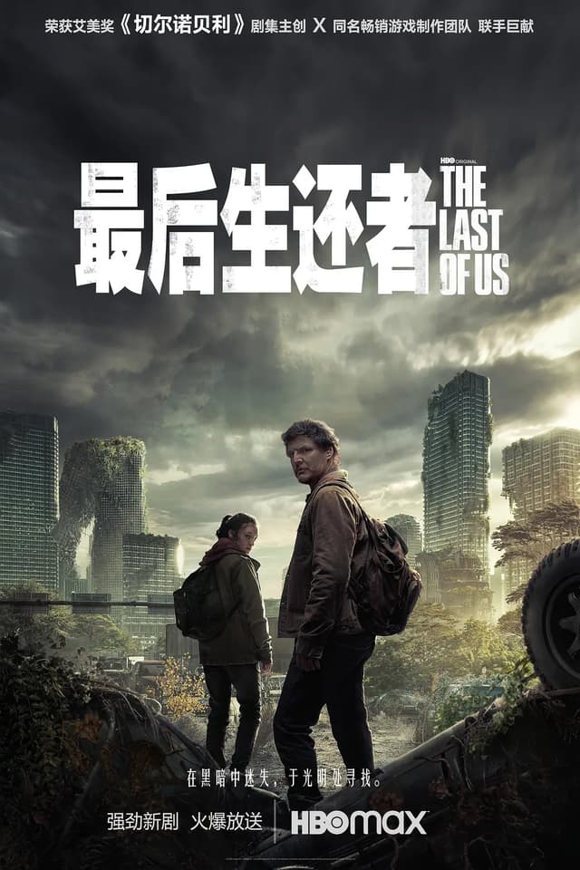 找出你在The Last of Us中的相似角色 - 海报