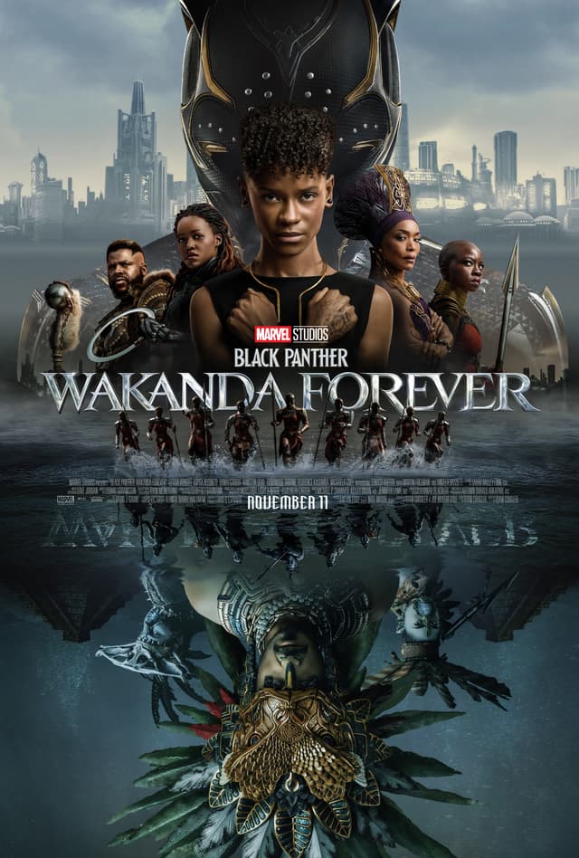 Find out which Black Panther: Wakanda Forever character are you - poster